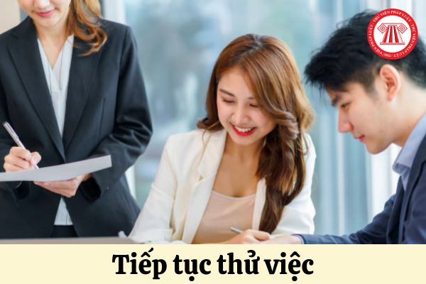 Được tiếp tục thử việc khi không đạt yêu cầu trong trường hợp nào?