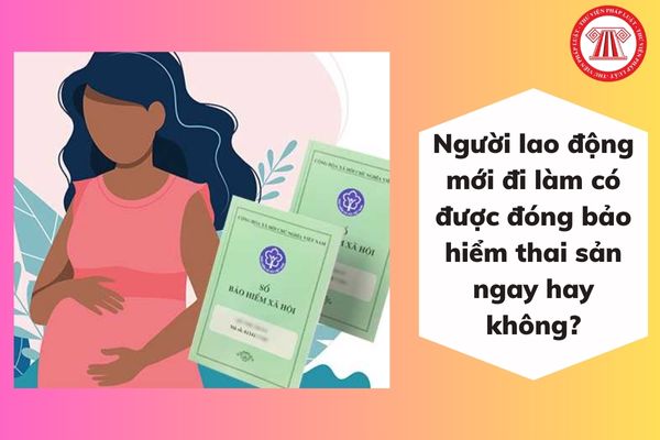 Người lao động mới đi làm có được đóng bảo hiểm thai sản ngay hay không?