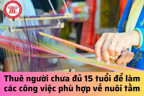 Có thể thuê người chưa đủ 15 tuổi để làm các công việc phù hợp về nuôi tằm được không?