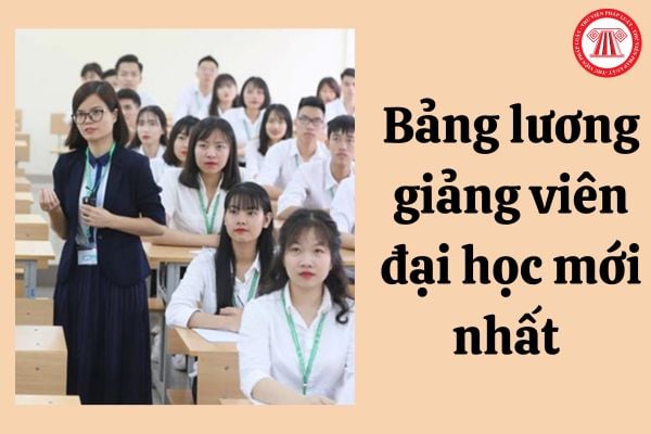 Bảng lương giảng viên đại học mới nhất là bao nhiêu?