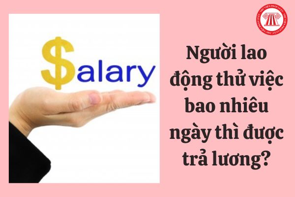 Người lao động thử việc bao nhiêu ngày thì được trả lương?