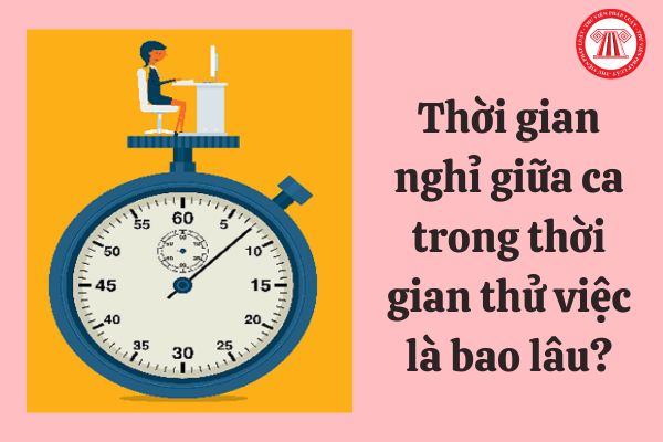 Thời gian nghỉ giữa ca trong thời gian thử việc là bao lâu?