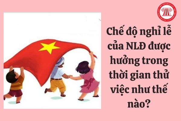 Chế độ nghỉ lễ của người lao động được hưởng trong thời gian thử việc như thế nào?