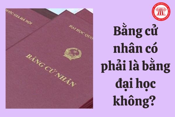 Bằng CN liệu có phải là vày ĐH không? Đơn vị này cấp cho vày cử nhân? 