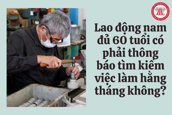 Lao động nam đủ 60 tuổi có phải thông báo tìm kiếm việc làm hằng tháng không?