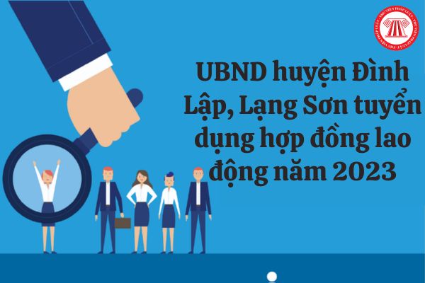 Hồ sơ đăng ký dự tuyển hợp đồng lao động năm 2023 của UBND huyện Đình Lập như thế nào?