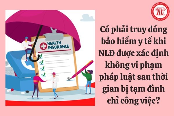 Có phải truy đóng bảo hiểm y tế khi người lao động được xác định không vi phạm pháp luật sau thời gian bị tạm đình chỉ công việc?