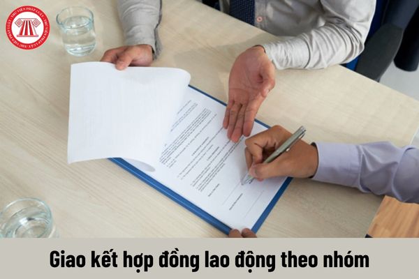 Có thể cử đại diện để giao kết hợp đồng lao động theo nhóm hay không?