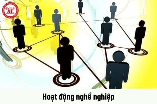 Viên chức có nghĩa vụ gì trong hoạt động nghề nghiệp?