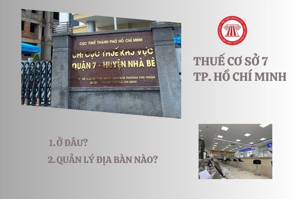 Lao Động Tiền Lương