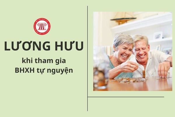 Lao Động Tiền Lương