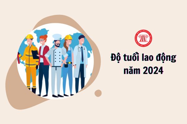 Độ tuổi lao động năm 2024