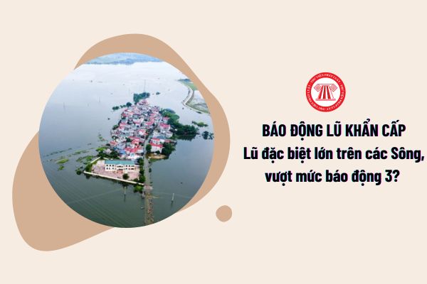 Báo động lũ khẩn cấp: Lũ đặc biệt lớn trên các Sông, vượt mức báo động 3? 