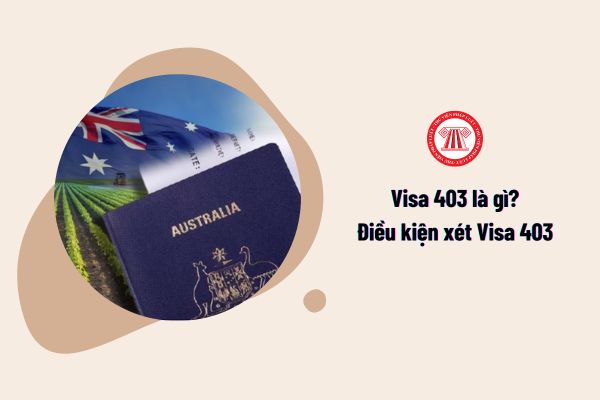 Visa 403 là gì? Điều kiện xét Visa 403 là gì?