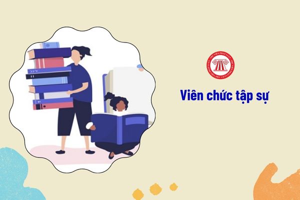 Có được bố trí viên chức tập sự sang đơn vị sự nghiệp công lập khác trong thời gian tập sự hay không?