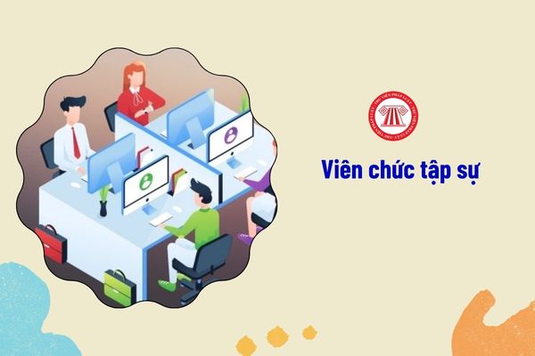 Viên chức tập sự không đạt yêu cầu sau thời gian tập sự thì có còn được tuyển dụng không?