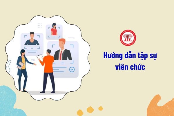 Người hướng dẫn tập sự có được hưởng chế độ tiền thưởng trong thời gian hướng dẫn tập sự viên chức không?