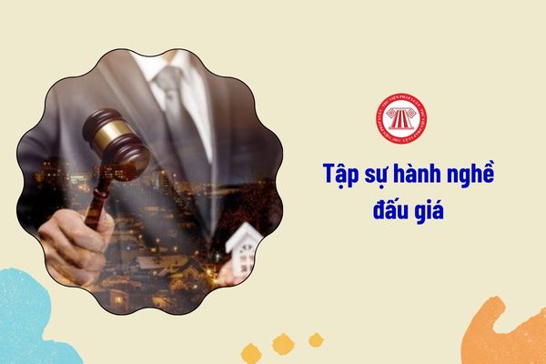 Người tập sự hành nghề đấu giá chấm dứt tập sự trong trường hợp nào?