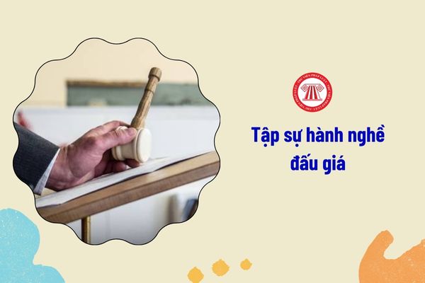 Có mấy hình thức kiểm tra kết quả tập sự hành nghề đấu giá?