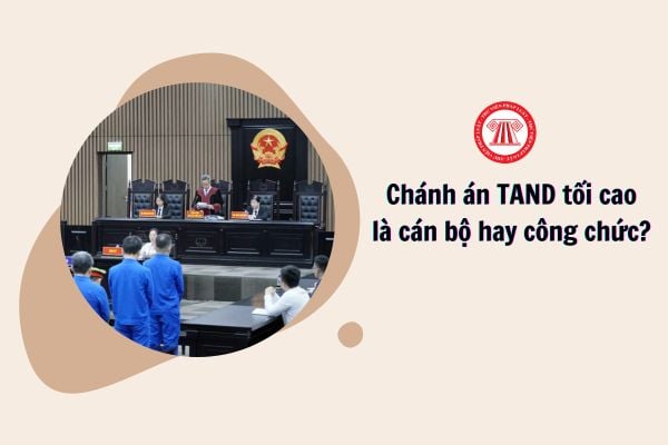 Chánh án tòa án nhân dân tối cao là cán bộ hay công chức?