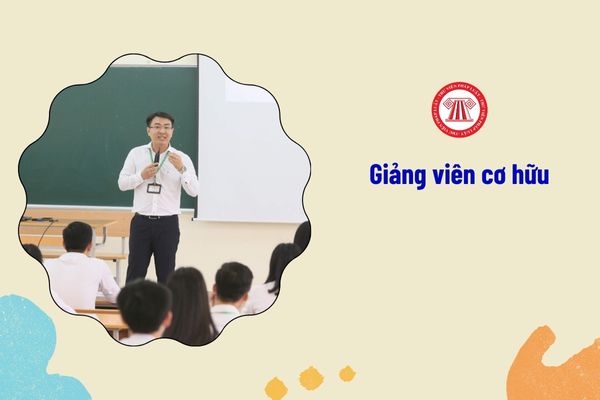 Giảng viên cơ hữu