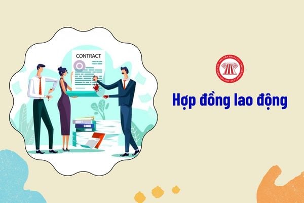 Một số hợp đồng lao động đặc thù theo Bộ luật Lao động mới nhất hiện nay ra sao?