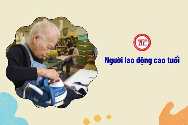 người lao động cao tuổi