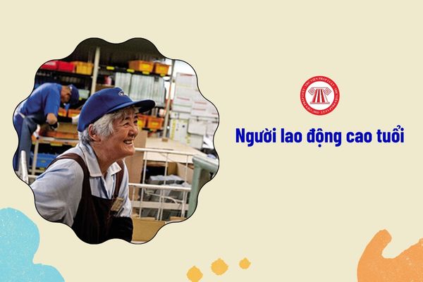 Người lao động cao tuổi có phải tham gia bảo hiểm thất nghiệp hay không?