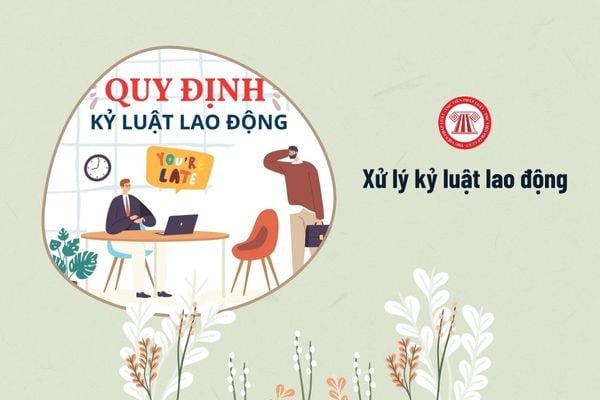 xử lý kỷ luật lao động