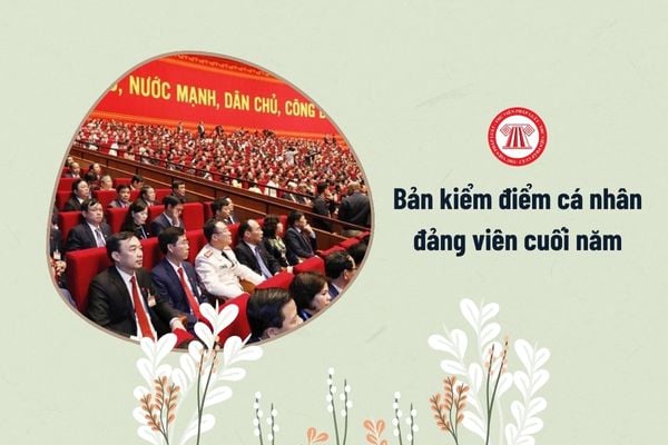 Bản kiểm điểm cá nhân đảng viên cuối năm