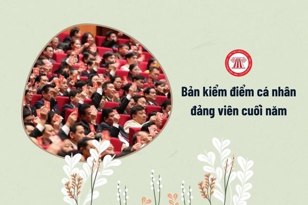 Bản kiểm điểm cá nhân đảng viên cuối năm 2024