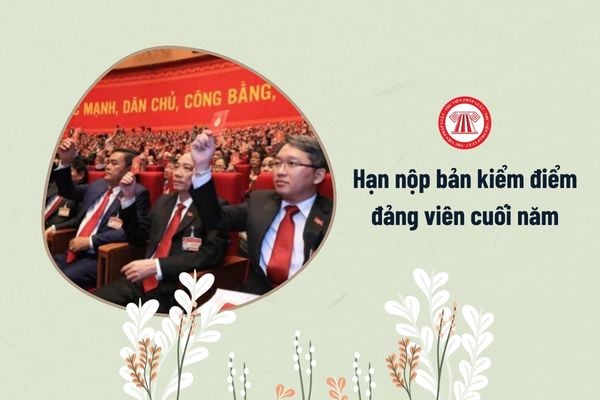 kiểm điểm đảng viên cuối năm