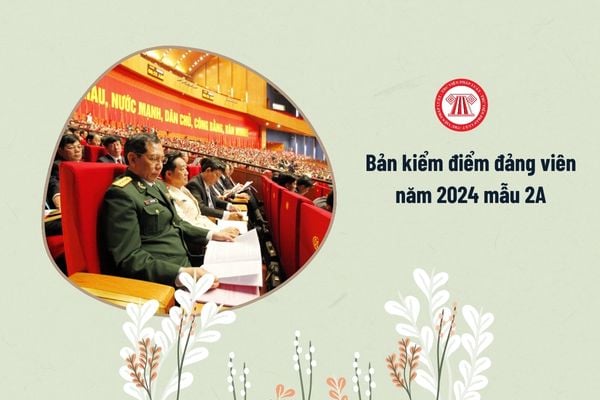 Bản kiểm điểm đảng viên năm 2024 mẫu 2a