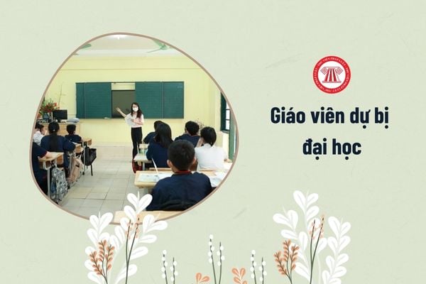 giáo viên dự bị đại học