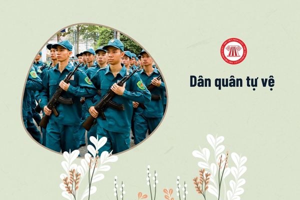 Dân quân tự vệ là lực lượng gì? 