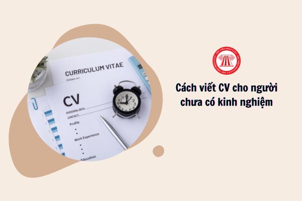 Cách viết CV cho người chưa có kinh nghiệm như thế nào?