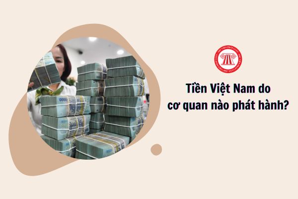 Tiền Việt Nam do cơ quan nào phát hành?