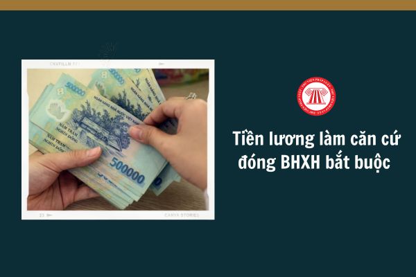 Tiền lương làm căn cứ đóng BHXH bắt buộc thấp nhất và cao nhất tính theo mức tham chiếu từ 1/7/2025 là bao nhiêu?