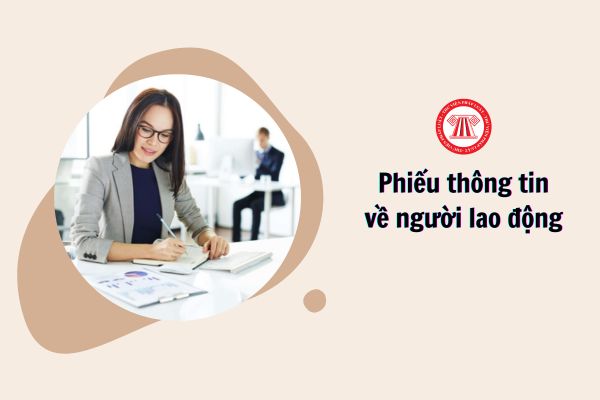 Hướng dẫn ghi Phiếu thông tin về người lao động mới nhất 2024 như thế nào?