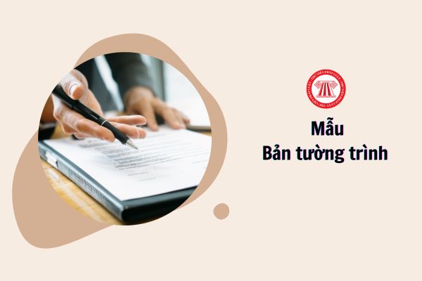 Mẫu Bản tường trình