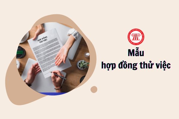 mẫu hợp đồng thử việc