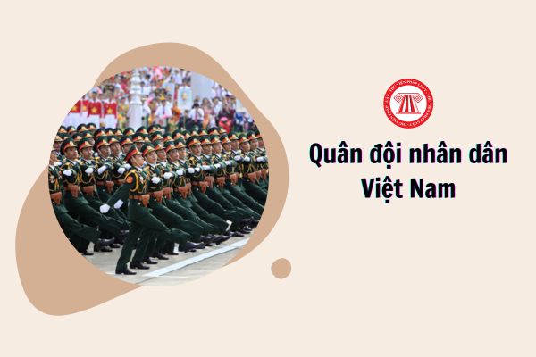 Quân đội nhân dân Việt Nam