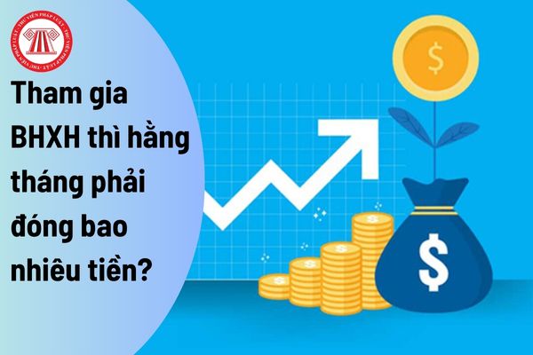 Tham gia bảo hiểm xã hội thì hằng tháng phải đóng bao nhiêu tiền?