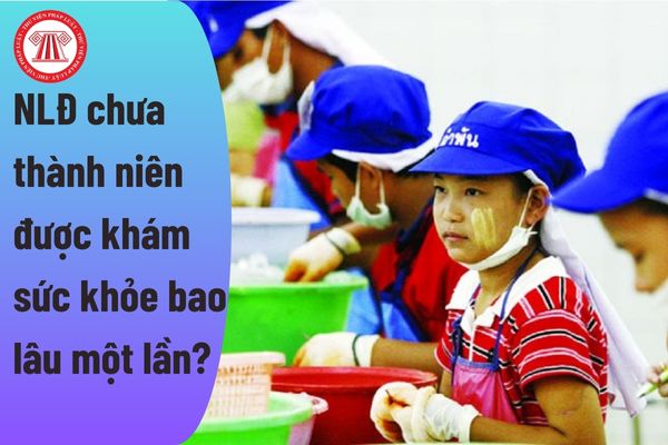 Người lao động chưa thành niên được khám sức khỏe bao lâu một lần?