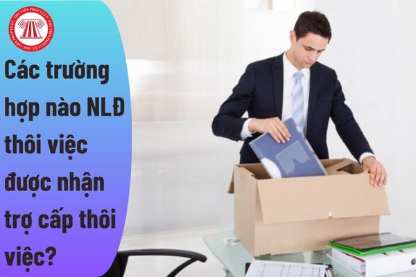 Các trường hợp nào NLĐ thôi việc được nhận trợ cấp thôi việc?