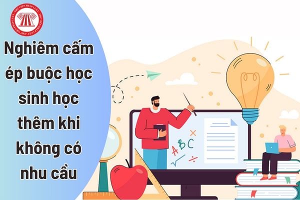 Ép buộc học sinh học thêm khi không có nhu cầu, hành vi bị nghiêm cấm?