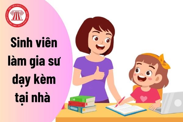 Sinh viên làm gia sư dạy kèm tại nhà được hưởng lương thế nào? Phân biệt gia sư dạy kèm và giáo viên dạy thêm?