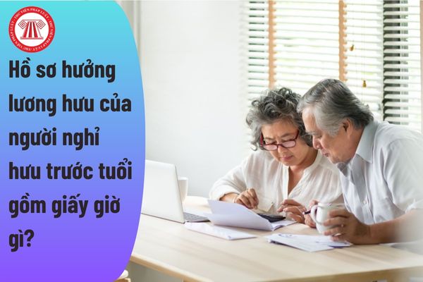 Hồ sơ hưởng lương hưu của người nghỉ hưu trước tuổi gồm giấy giờ gì?