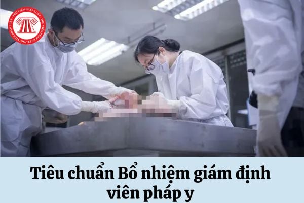 Để được bổ nhiệm giám định viên pháp y thì cần đáp ứng tiêu chuẩn về trình độ chuyên môn như thế nào?