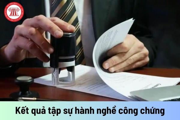 Việc kiểm tra kết quả tập sự hành nghề công chứng được tổ chức mấy lần trong năm?